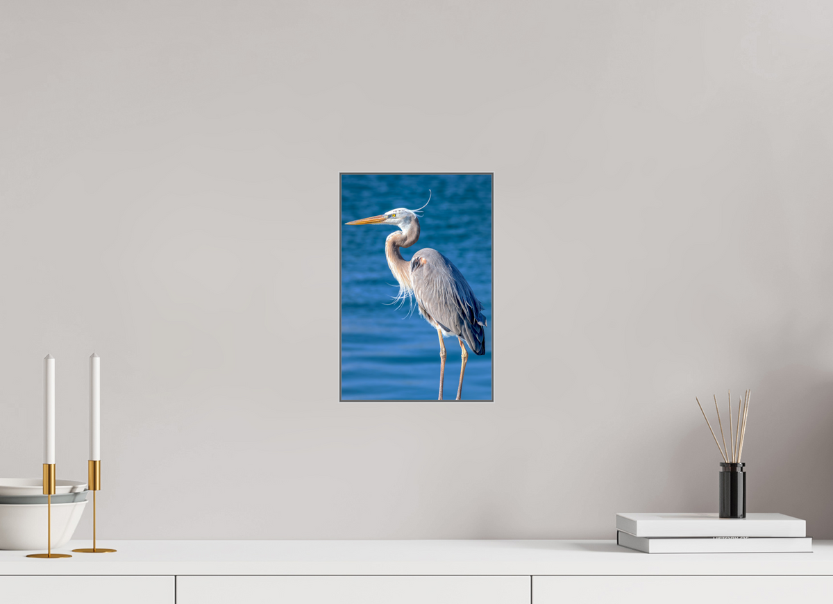 8 x 12″, Framed Giclée Print on Metal Patience — Framed Great Blue Heron Fine Art Photography Print | Richard H Knight