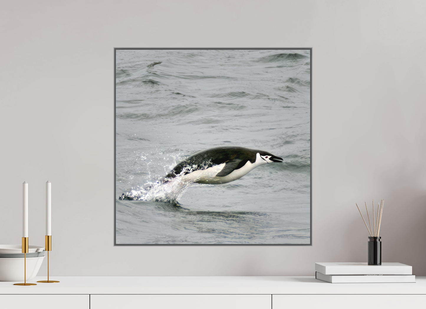 20 x 20″, Framed, laminated, color print on metal. Flying Solo - Framed Chinstrap Penguin Fine Art Photography Print | Richard H Knight