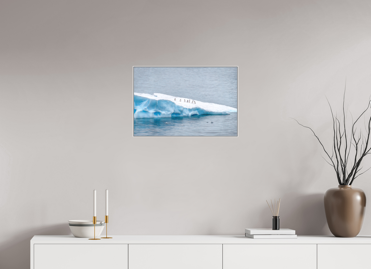 24 x 16″, Wht Art Box|Color|Matte Acrylic Passengers — Framed Antarctic Penguin Fine Art Photography Print | Richard H Knight