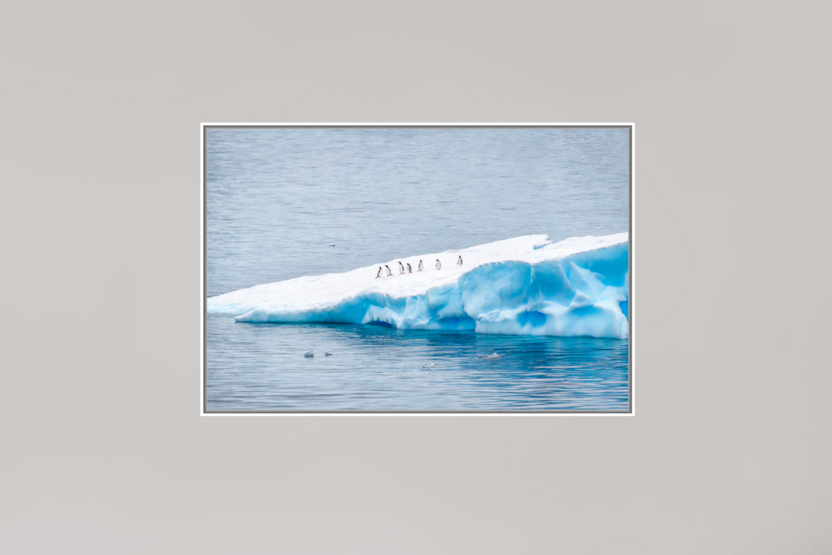 Passengers, 12×8″ — Color Giclée Print on Metal in an Art Box Frame | Richard H Knight
