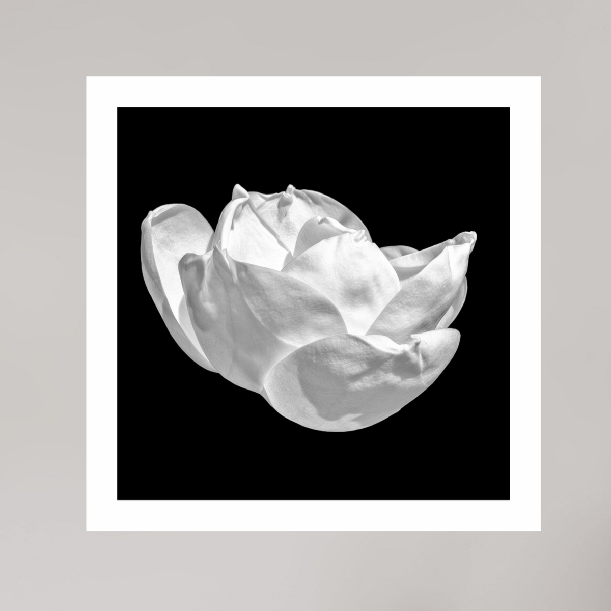 Natural Curves, 15×15″ — Unframed B&W print on Ilford Baryta Paper with a white border | Richard H Knight
