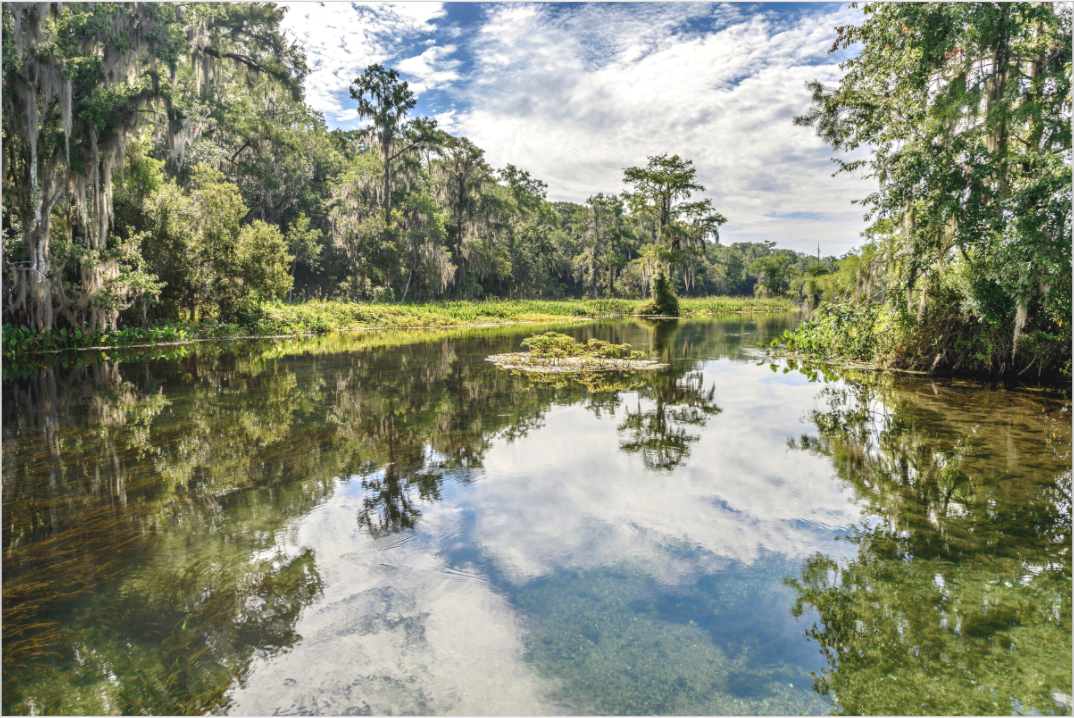 Peaceful lake surrounded by trees with a cloudy sky. Foliage and sky are reflected by the mirror-like water surface.