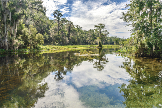 Peaceful lake surrounded by trees with a cloudy sky. Foliage and sky are reflected by the mirror-like water surface.