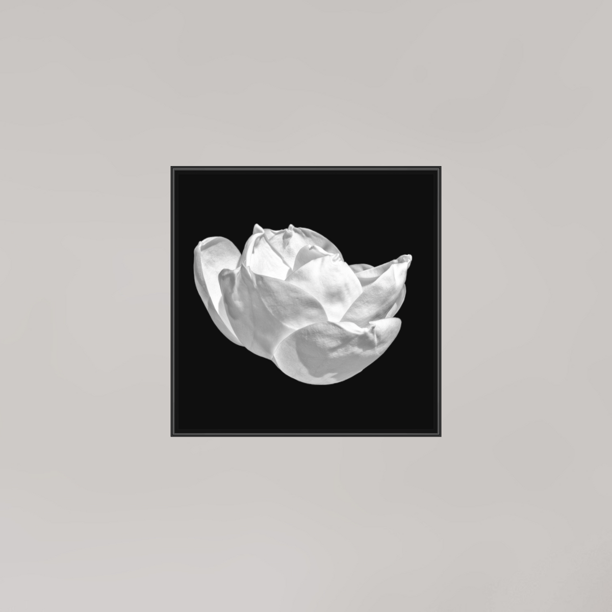 Natural Curves, 8×8″ — B&W Laminated Print on Metal in a black Art Box Frame | Richard H Knight