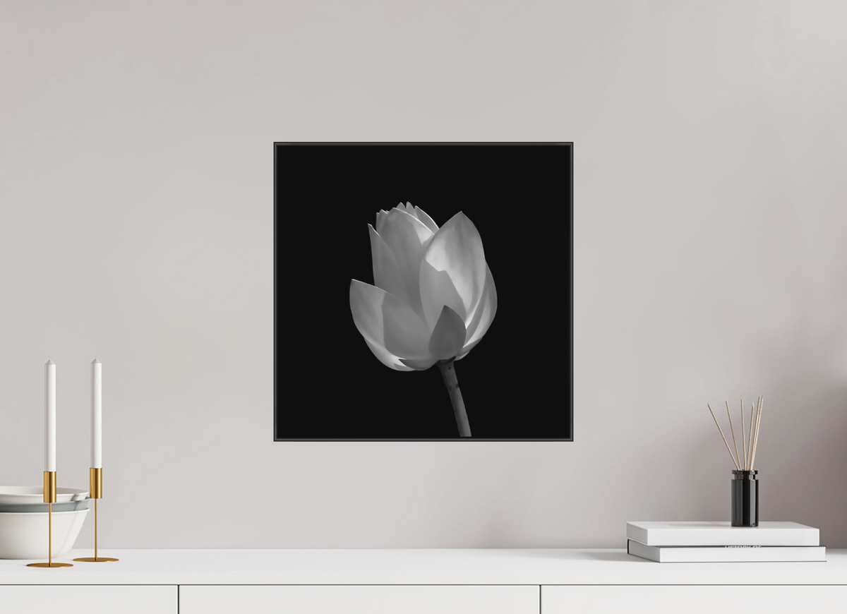 Art Study, 15×15″ — B&W Laminated Print on Metal in a black Art Box Frame | Richard H Knight