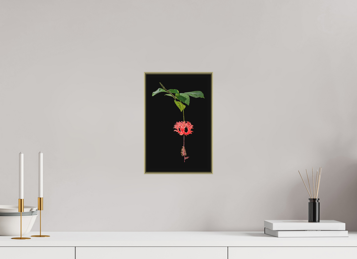 8 x 12″, Au Art Box|Color|Matte Acrylic Nature’s Ornament — Framed Japanese Lantern Hibiscus Fine Art Photography Print | Richard H Knight
