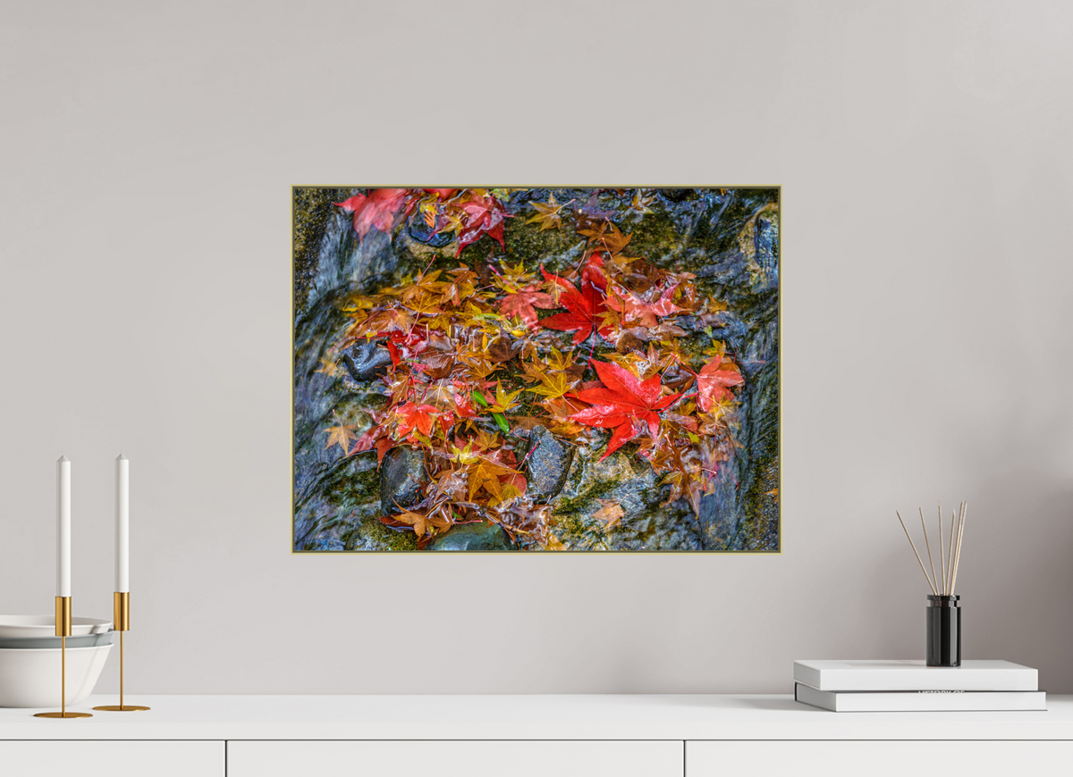 Fallen, 20×15″ — Color Giclée Print on Metal in an Art Box Frame | Richard H Knight