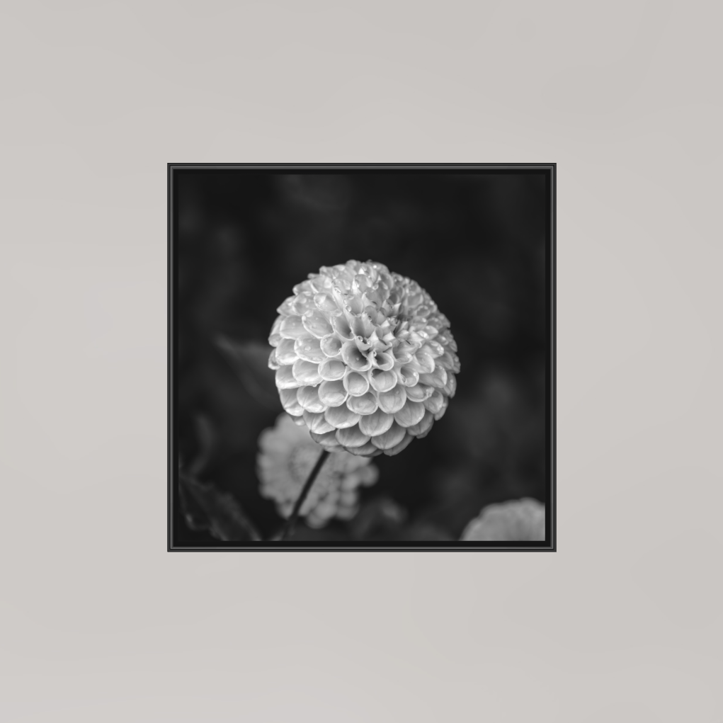 Echoes of Rain, 8×8″ — B&W Laminated Print on Metal in a black Art Box Frame | Richard H Knight