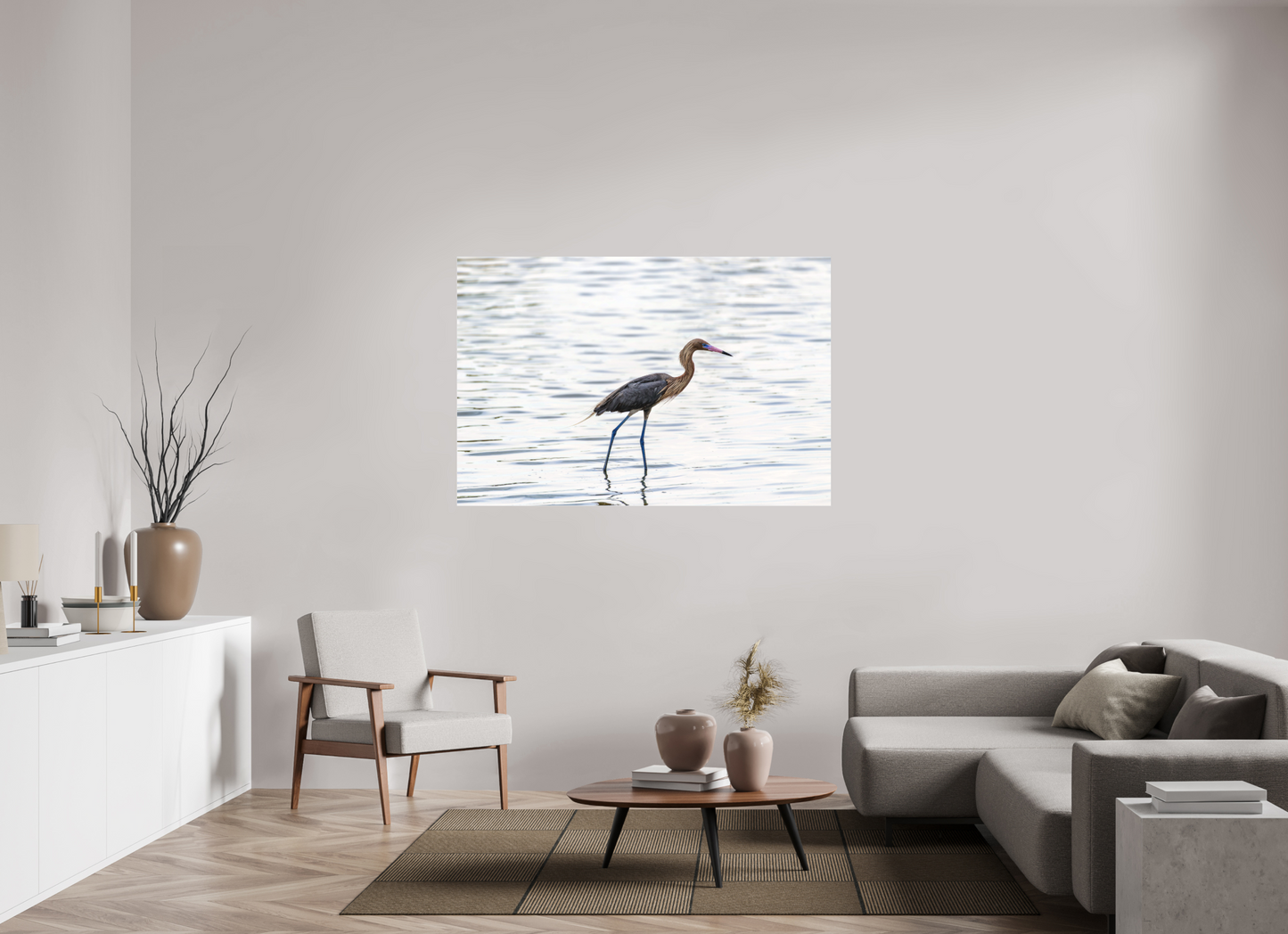 Reddish Egret-Framed Color Print Under Acrylic by Richard H Knight