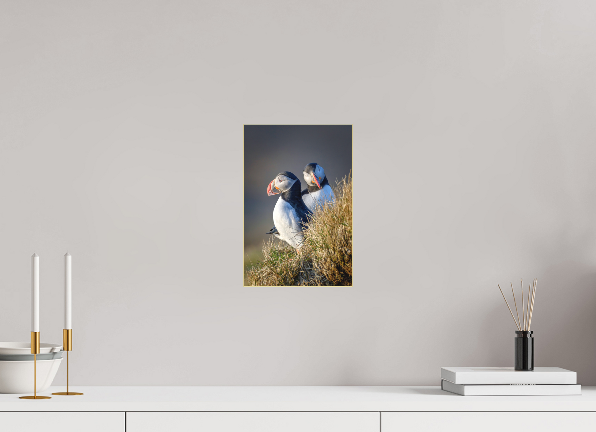 8 x 12″, Au Slimline|Color|Matte Acrylic Vigilance-Framed Puffin Print by Richard H Knight