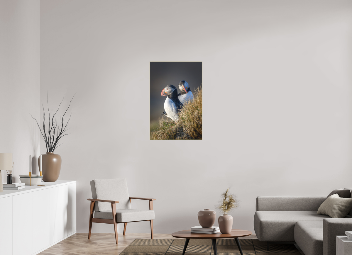 24 x 36″, Au Art Box|Color|Matte Acrylic Vigilance — Framed Atlantic Puffin Fine Art Photography Print | Richard H Knight