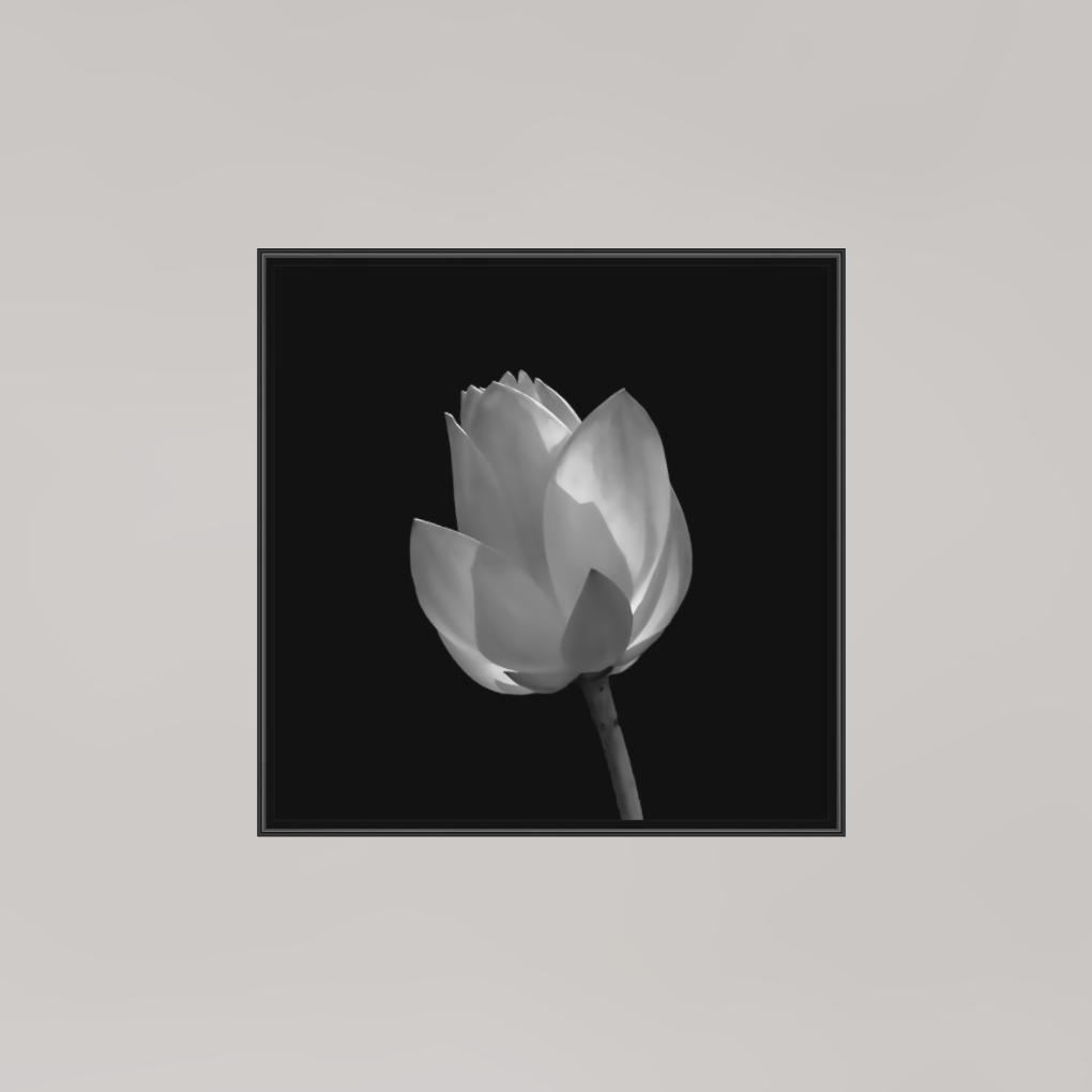 Art Study, 8×8″ — B&W Print under Acrylic on Metal in a black Art Box Frame | Richard H Knight