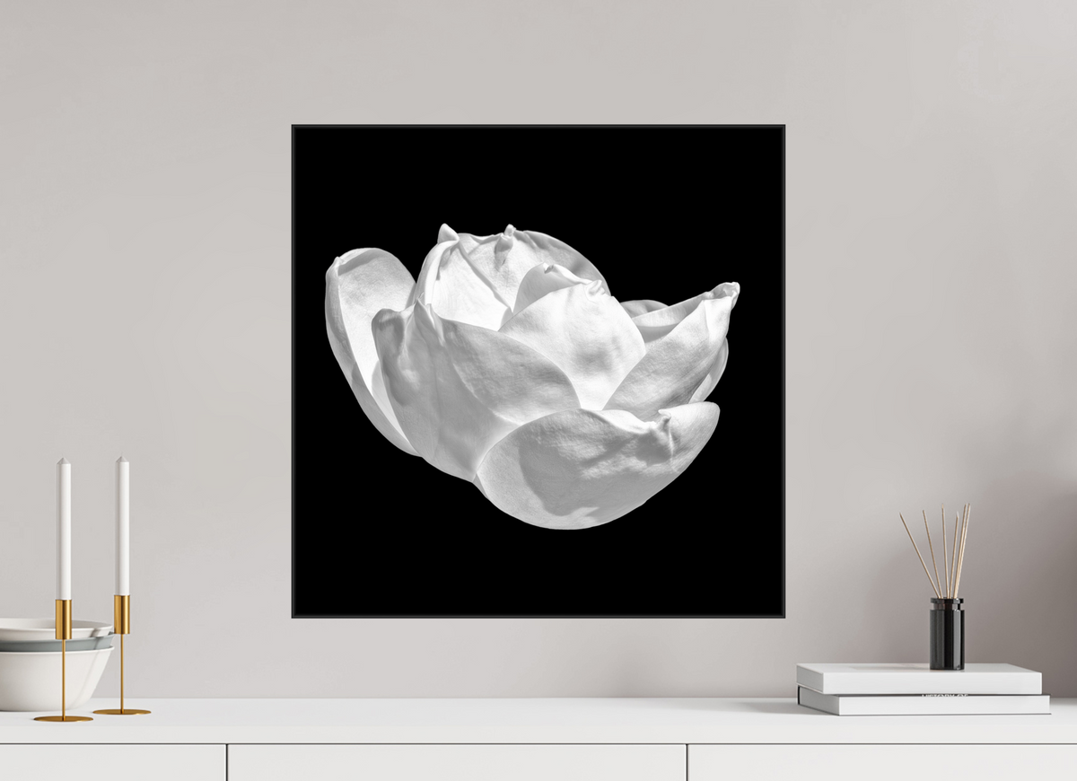 20 x 20″, Blk Art Box|Fine Art|AlDibond Natural Curves — Framed Black & White Magnolia Fine Art Photography Print | Richard H Knight