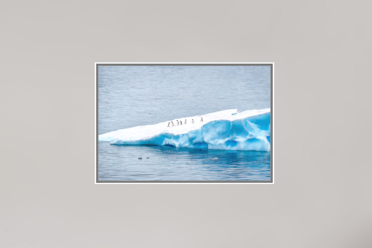 Passengers, 12×8″ — Color Print under Acrylic on Metal in an Art Box Frame | Richard H Knight