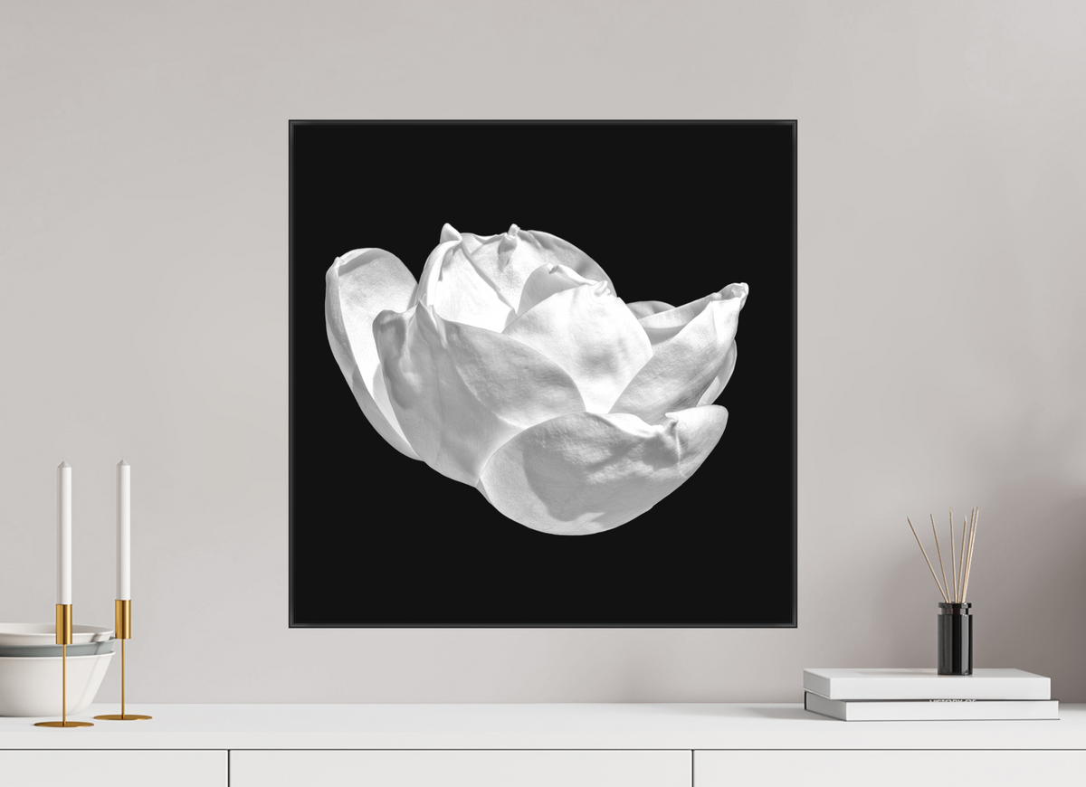 20 x 20″, Blk Art Box|B&W|Matte Acrylic Natural Curves — Framed Black & White Magnolia Fine Art Photography Print | Richard H Knight