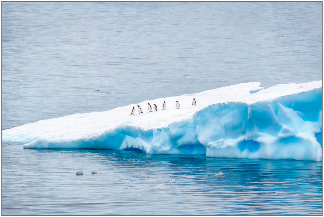 Passengers — Penguins standing on a blue Antarctic iceberg surrounded by calm water, framed color fine art photography print by Richard H Knight.