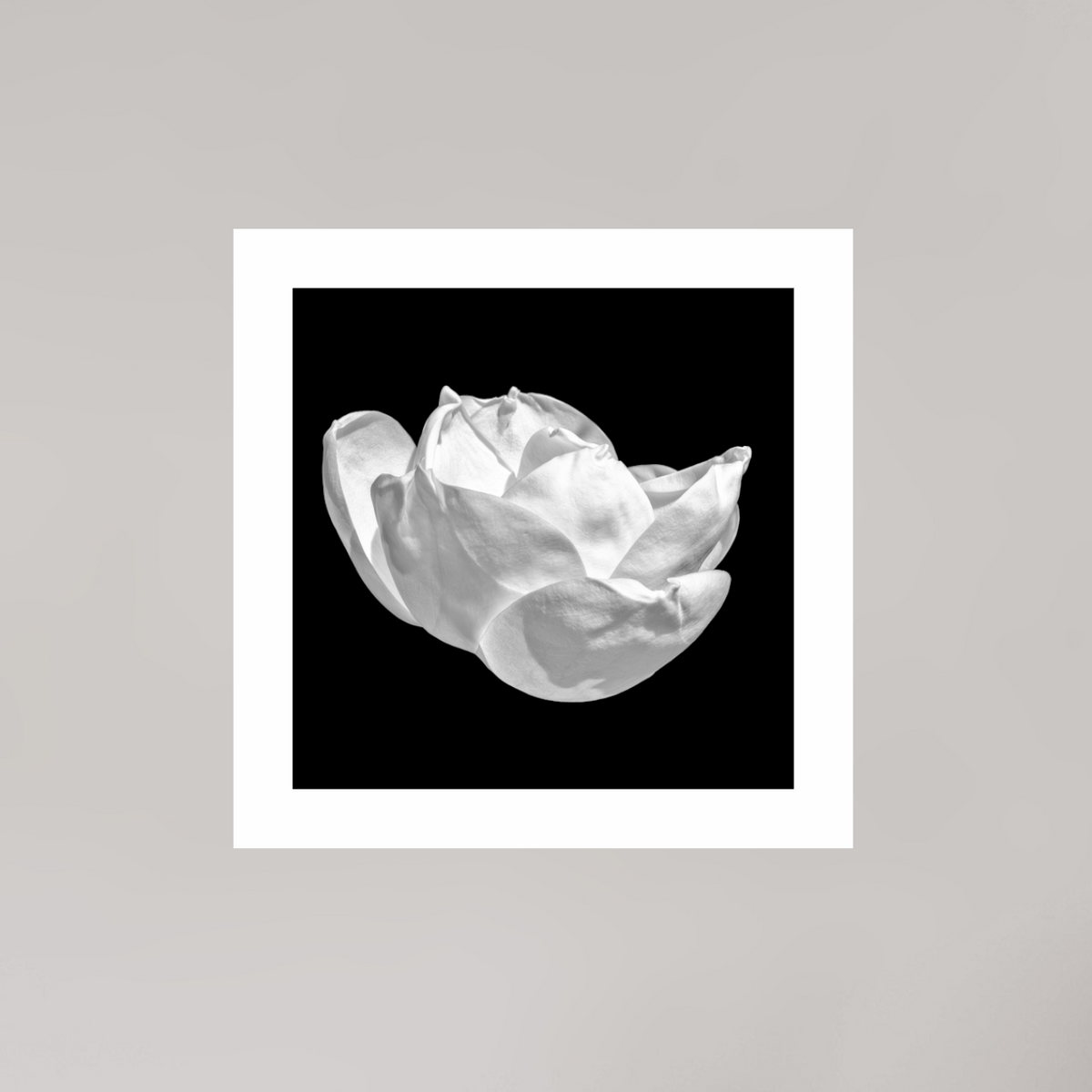 Natural Curves, 10×10″ — Unframed B&W print on Ilford Baryta Paper with a white border | Richard H Knight