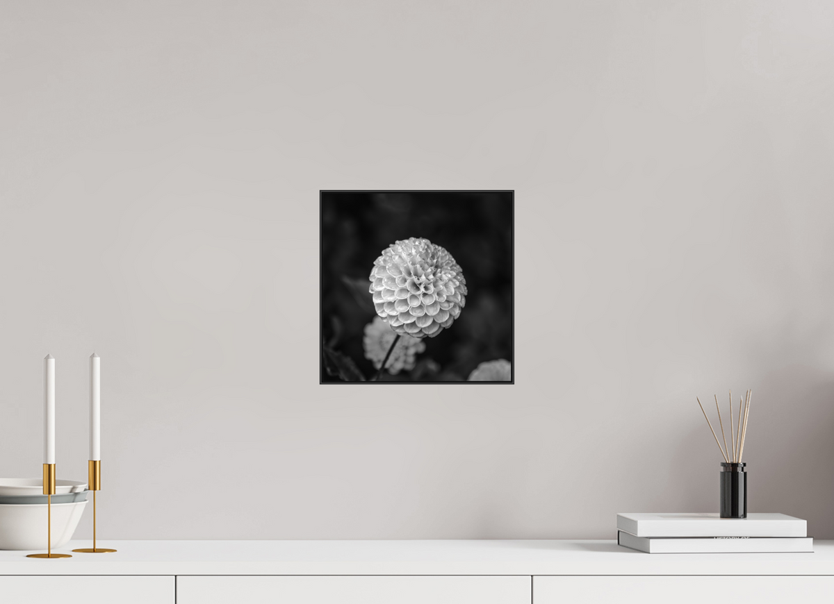 10 x 10″, Blk Art Box|Fine Art|AlDibond Echoes of Rain — Framed Black & White Dahlia Fine Art Photography Print | Richard H Knight