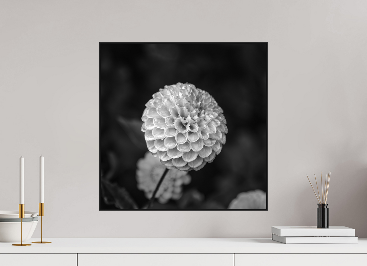 20 x 20″, Blk Art Box|Fine Art|AlDibond Echoes of Rain — Framed Black & White Dahlia Fine Art Photography Print | Richard H Knight