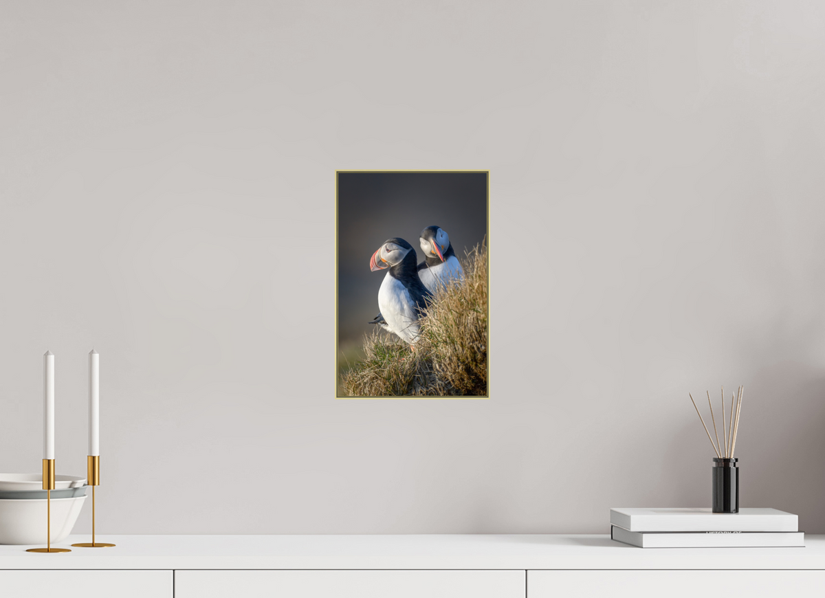 8 x 12″, Framed Giclée Print on Metal Vigilance — Framed Atlantic Puffin Fine Art Photography Print | Richard H Knight