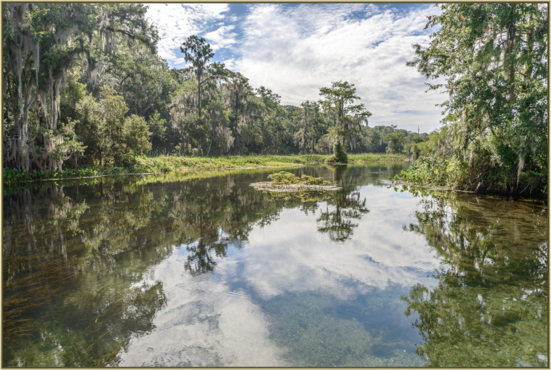 Main image Perfectly Still — Framed Old Florida Fine Art Photography Print | Richard H Knight