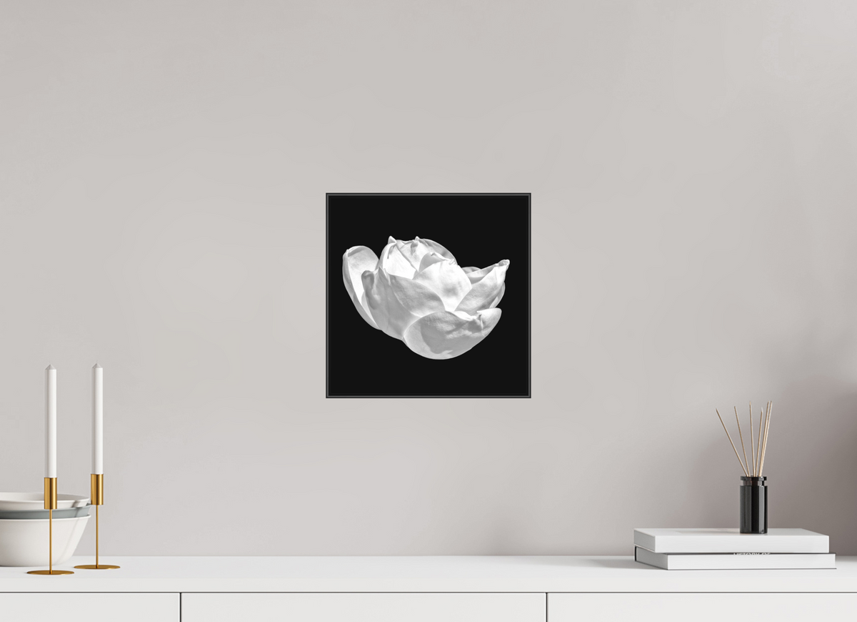 10 x 10″, Blk Art Box|B&W|Matte Acrylic Natural Curves — Framed Black & White Magnolia Fine Art Photography Print | Richard H Knight