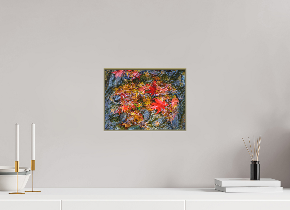Fallen, 12×9″ — Color Print under Acrylic on Metal in an Art Box Frame | Richard H Knight