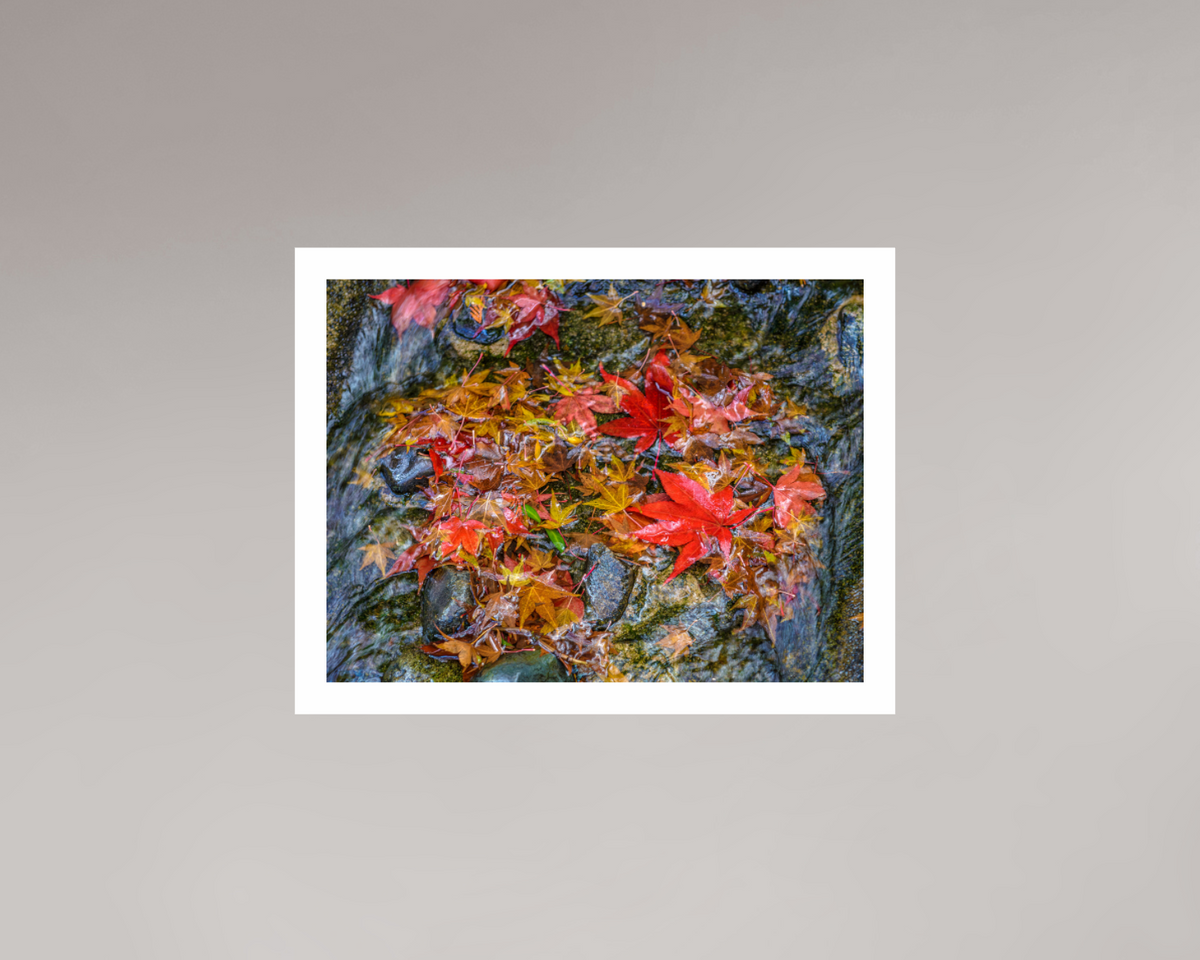 Fallen, 20×15″ — Color Giclée print on Hahnemühle Fine Art Pearl paper | Richard H Knight