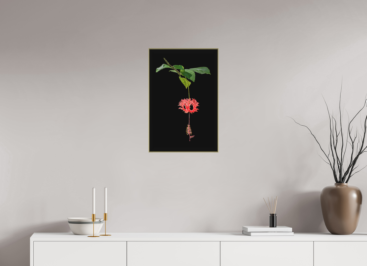 16 x 24″, Au Art Box|Color|Matte Acrylic Nature’s Ornament — Framed Japanese Lantern Hibiscus Fine Art Photography Print | Richard H Knight