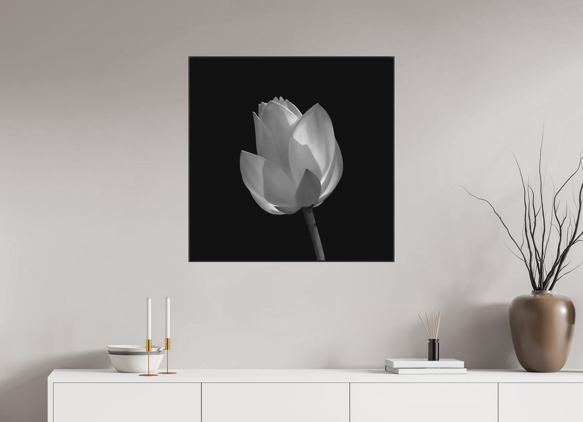 30 x 30″, Blk Art Box|B&W|Matte Acrylic Art Study — Framed Black & White Lily Fine Art Photography Print | Richard H Knight