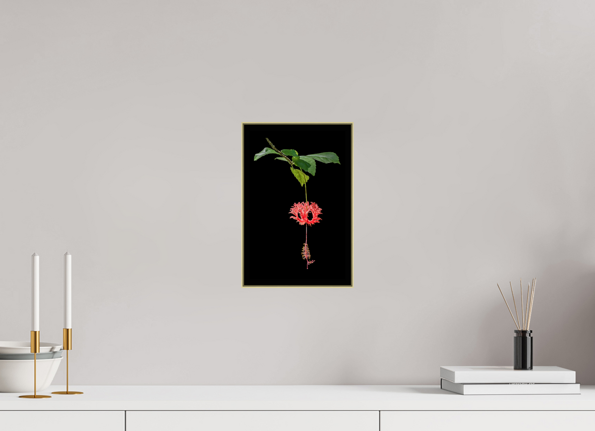 8 x 12″, Framed Giclée Print on Metal Nature’s Ornament — Framed Japanese Lantern Hibiscus Fine Art Photography Print | Richard H Knight