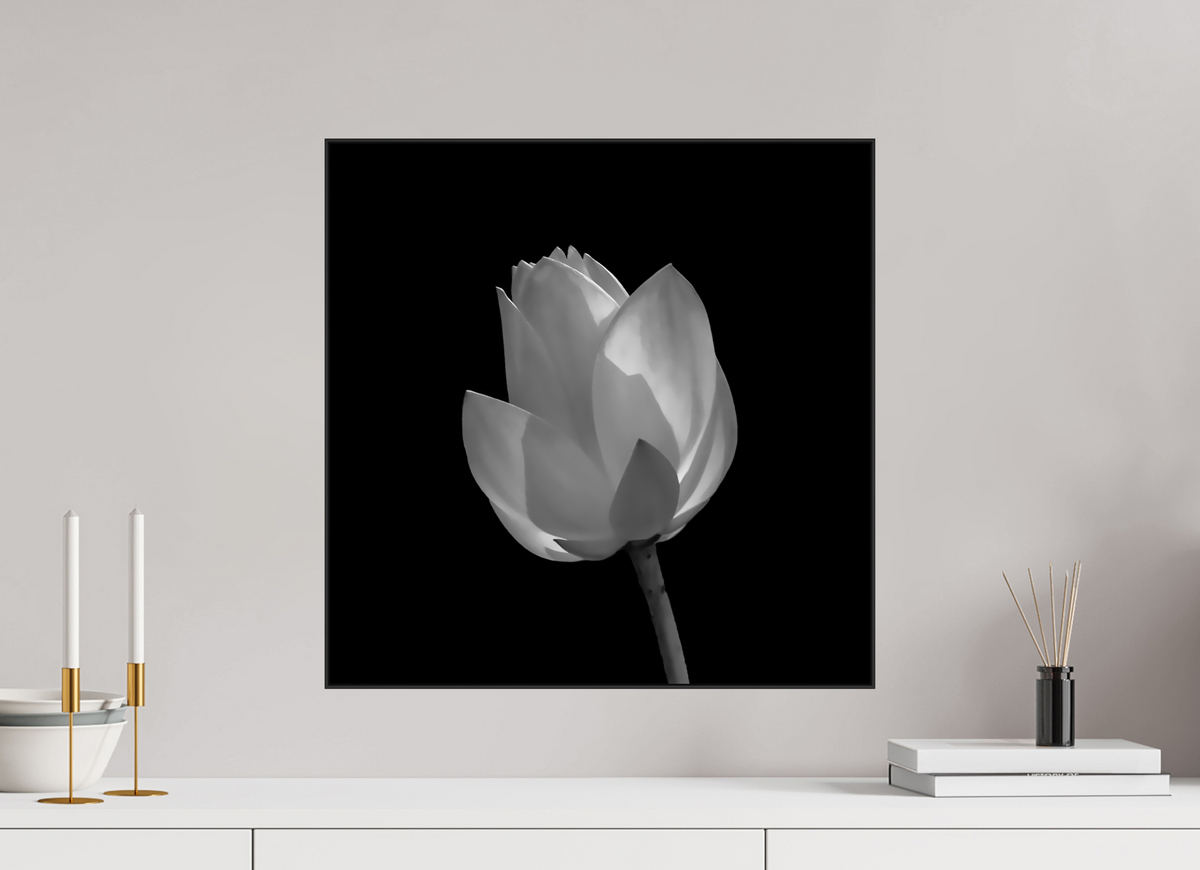20 x 20″, Blk Art Box|Fine Art|AlDibond Art Study — Framed Black & White Lily Fine Art Photography Print | Richard H Knight