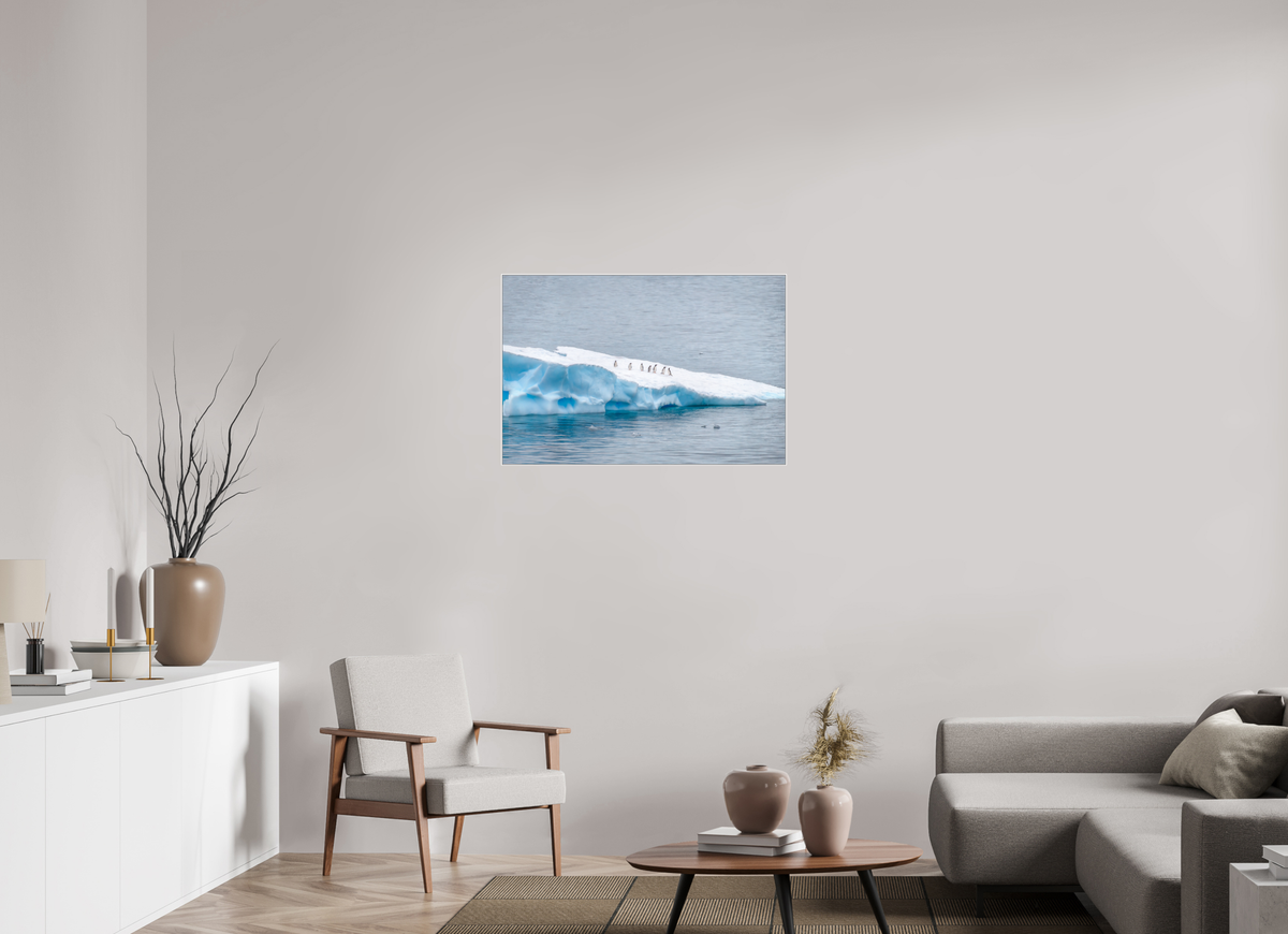 36 x 24″, Wht Art Box|Fine Art|AlDibond Passengers — Framed Antarctic Penguin Fine Art Photography Print | Richard H Knight