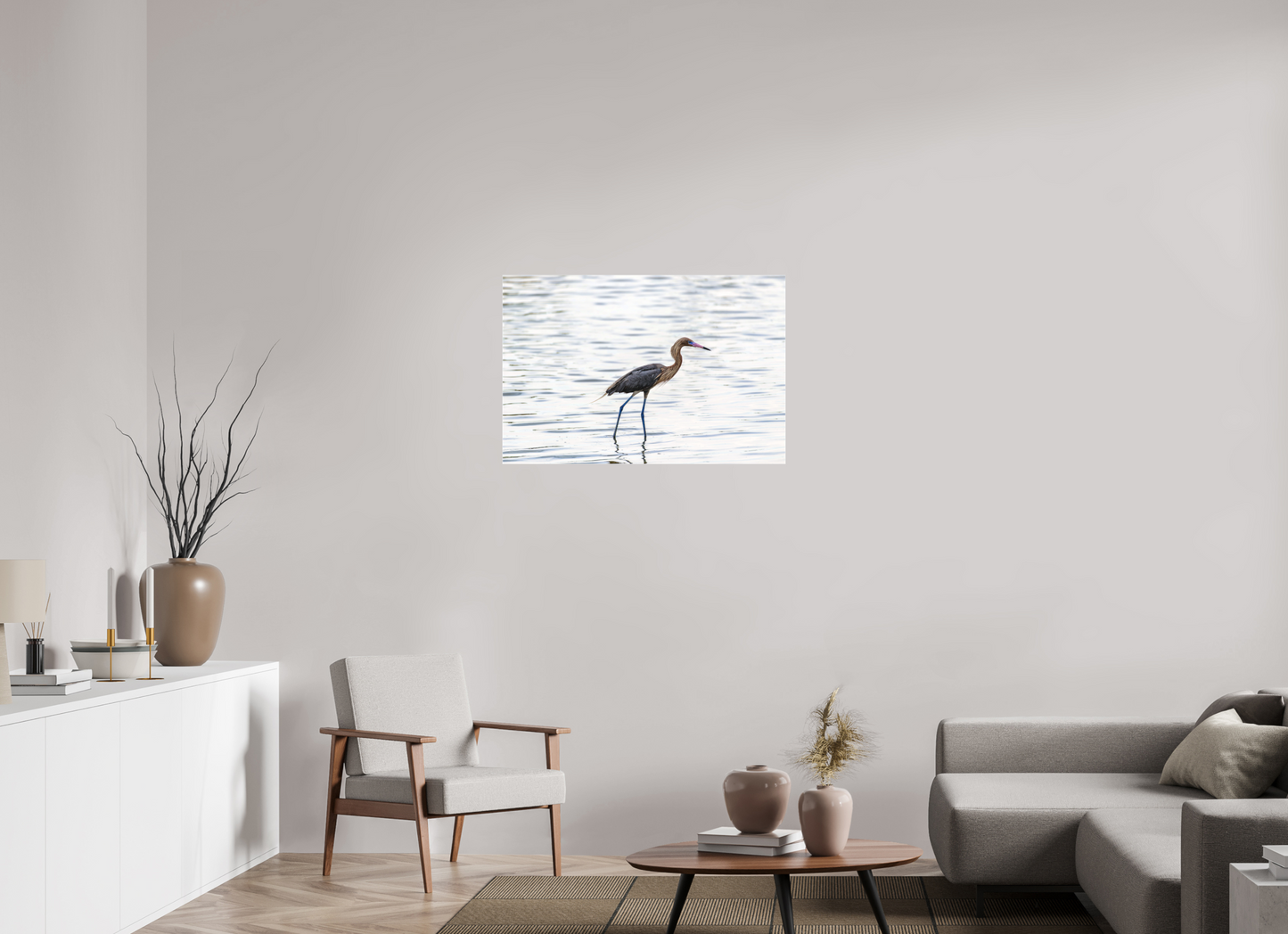 Reddish Egret-Framed Color Print Under Acrylic by Richard H Knight