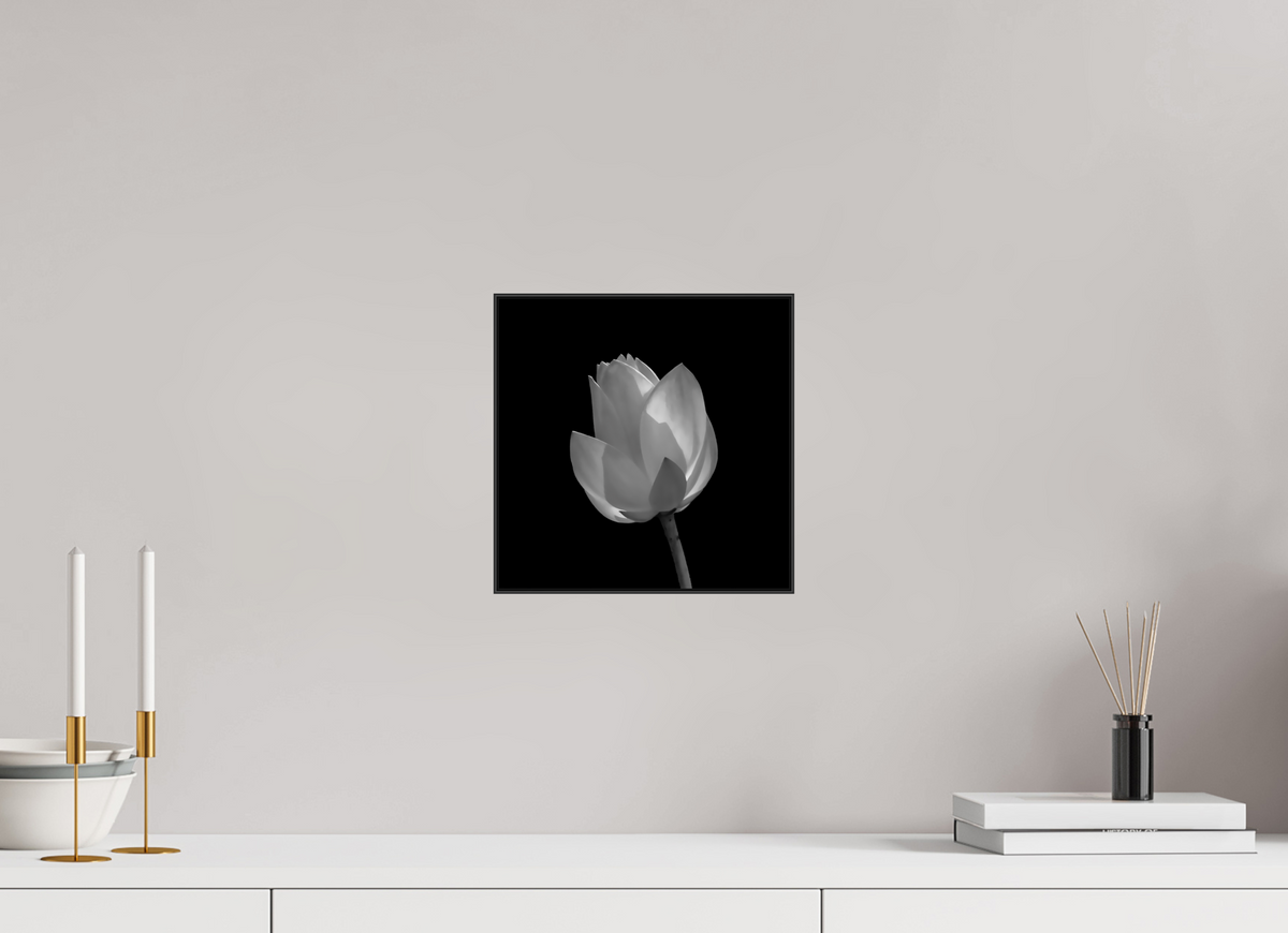 10 x 10″, Blk Art Box|Fine Art|AlDibond Art Study — Framed Black & White Lily Fine Art Photography Print | Richard H Knight