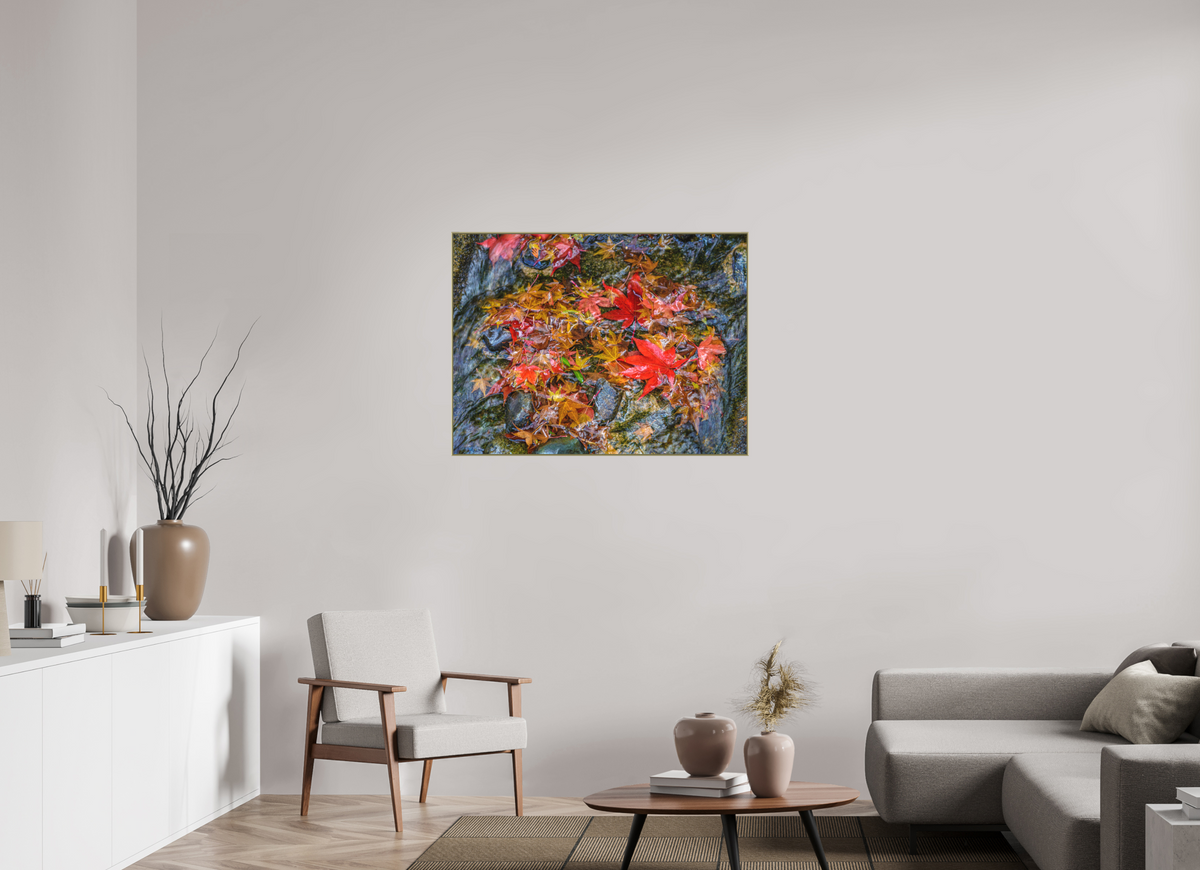 Fallen, 40×30″ — Color Print under Acrylic on Metal in an Art Box Frame | Richard H Knight