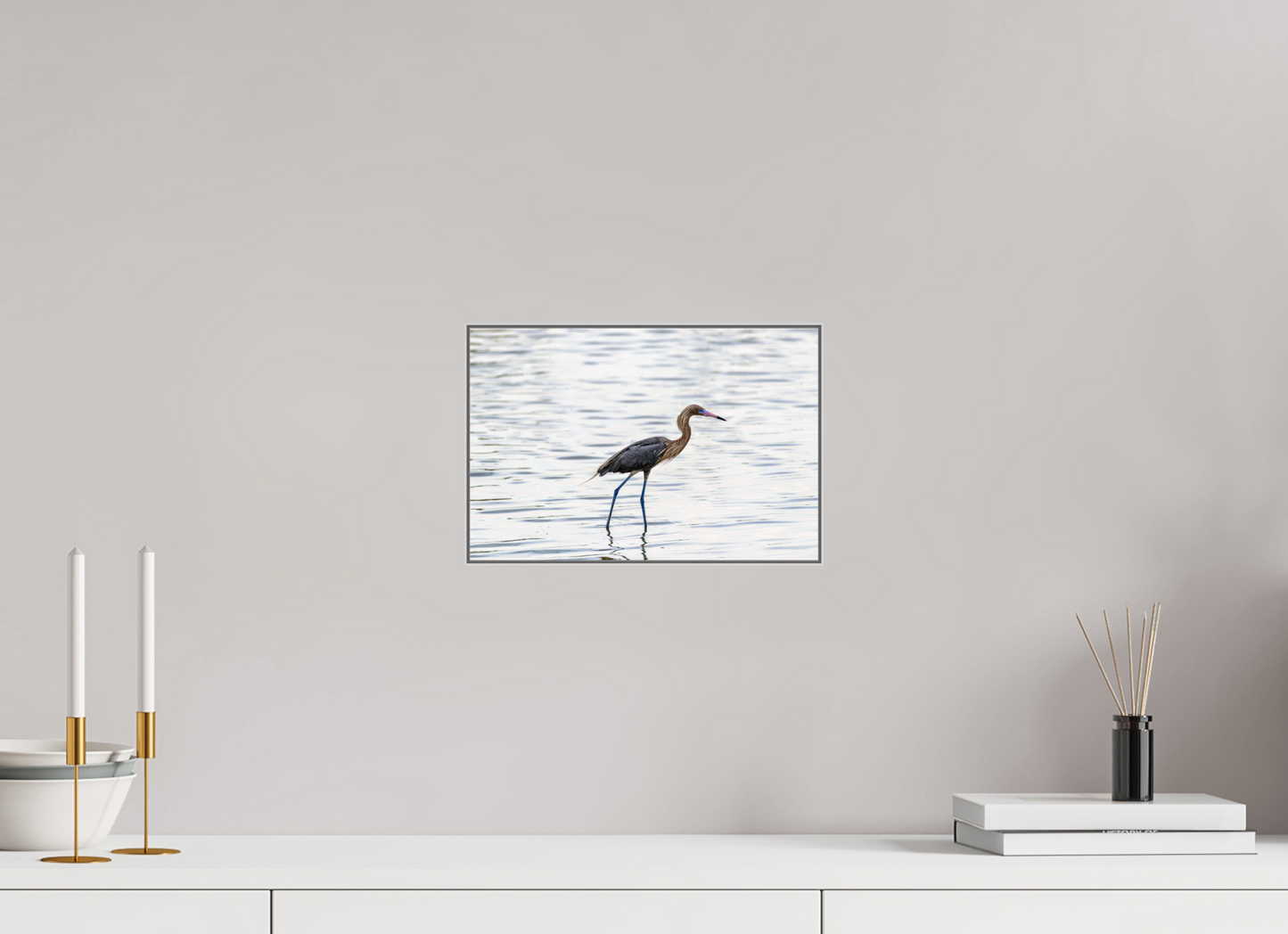 12 x 8″, Artbox|FineArt|ALDibond Reddish Egret-Framed Color Print Under Acrylic by Richard H Knight