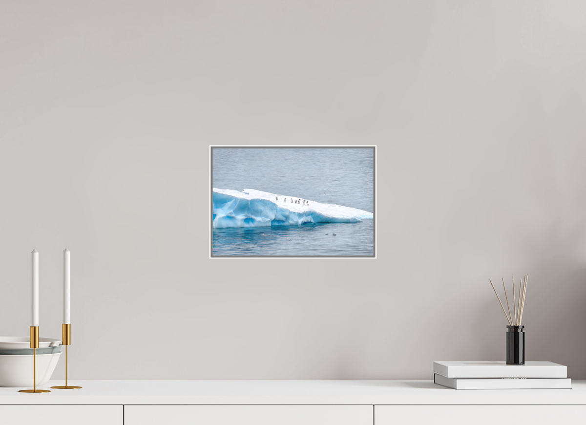 12 x 8″, Wht Art Box|Color|Matte Acrylic Passengers — Framed Antarctic Penguin Fine Art Photography Print | Richard H Knight