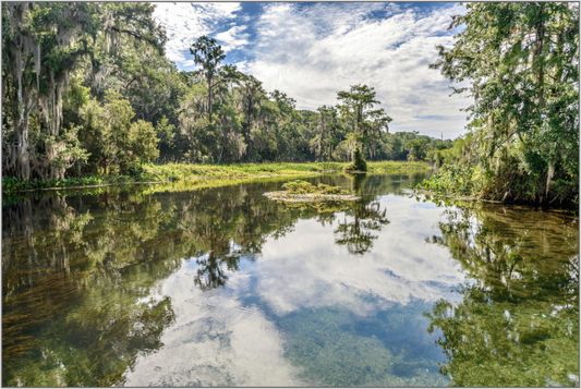 Peaceful river scene with trees and clouds reflected in the water