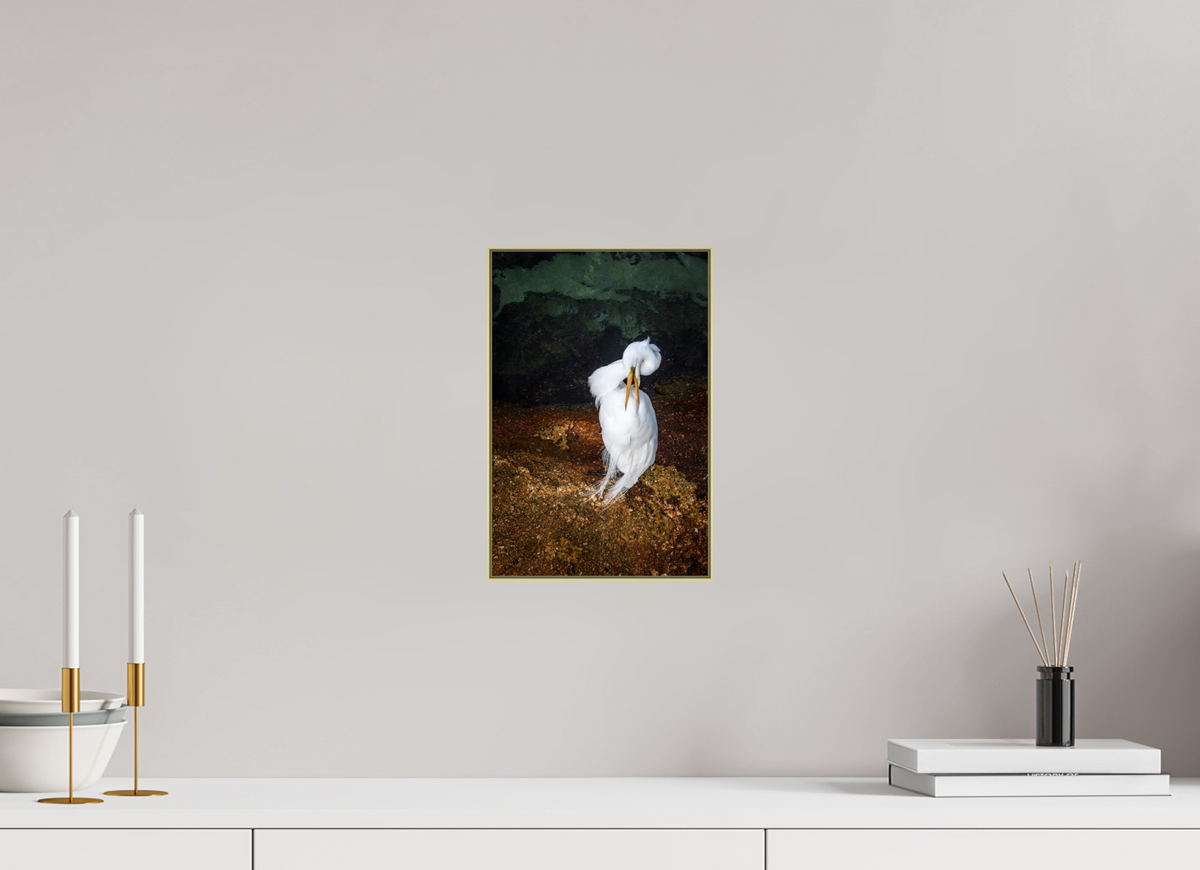 8 x 12″, Au Artbox|Fine Art|Al DiBond Housekeeping — Framed Great White Egret Fine Art Photography Print | Richard H Knight