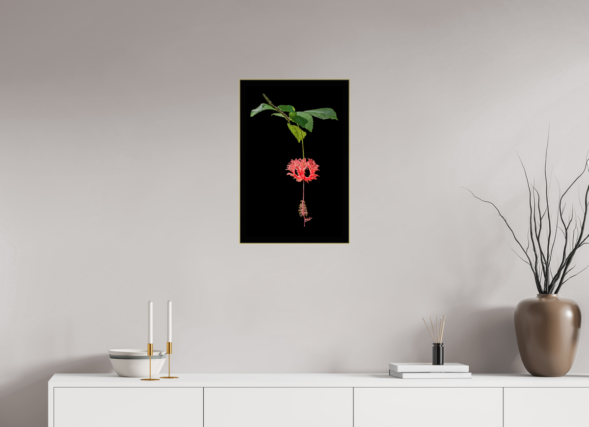 16 x 24″, Framed Giclée Print on Metal Nature’s Ornament — Framed Japanese Lantern Hibiscus Fine Art Photography Print | Richard H Knight